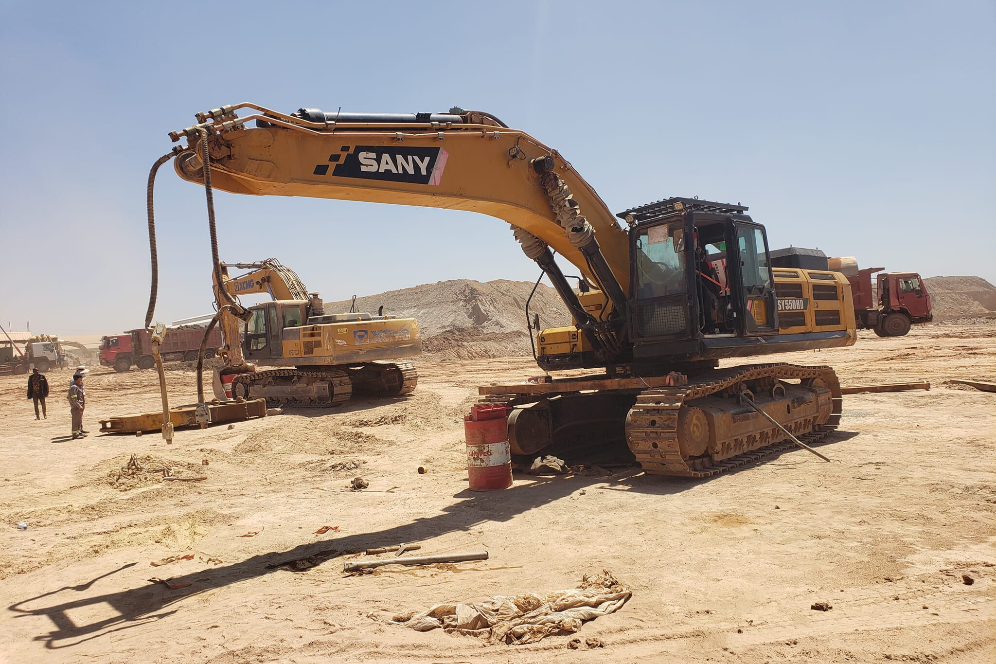 Bonjour Surveys Operations